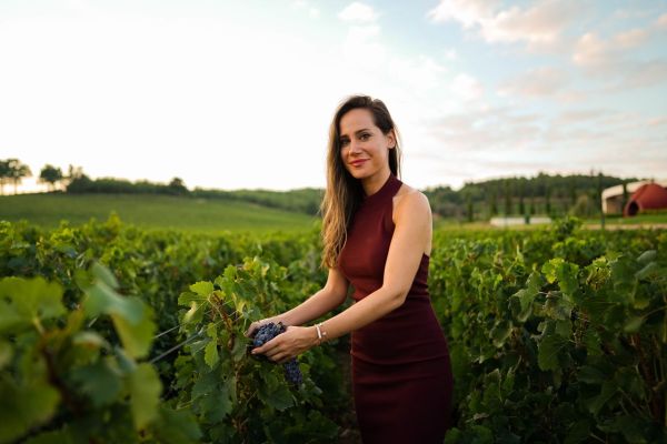 Comment découvrir les traditions viticoles de la région de Mendoza, Argentine?